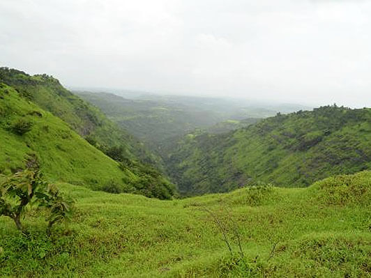 igatpuri hotels